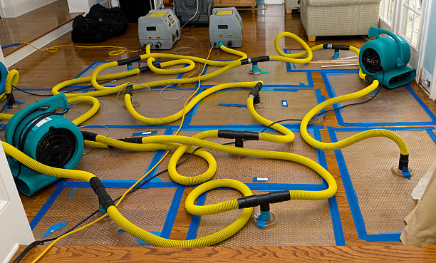 Professional Crawl Space Water Removal technician working in Linwood, NC